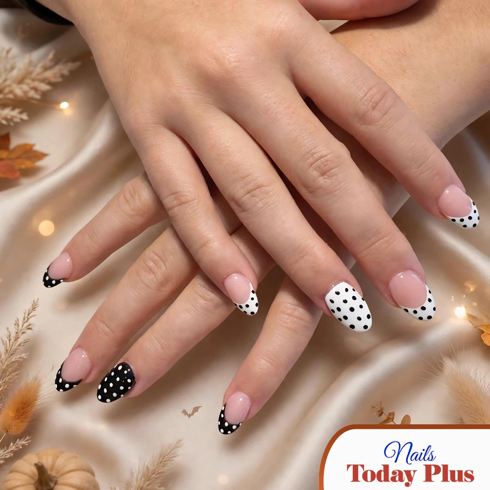 Nails Today Plus